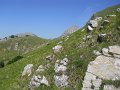 DSCN0957