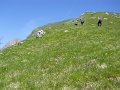 DSCN0958
