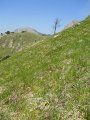 DSCN0959