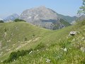 DSCN0963