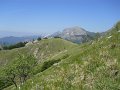 DSCN0964