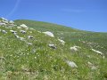 DSCN0967