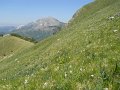 DSCN0970