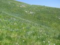 DSCN0971