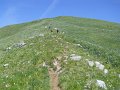 DSCN0972