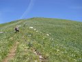 DSCN0973