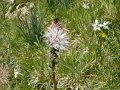 DSCN0975