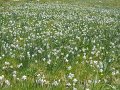 DSCN0983