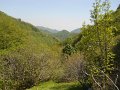 DSCN1004