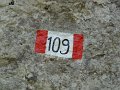 DSCN1006