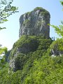 DSCN1050