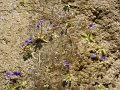 DSCN1054