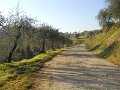 DSCN0267