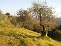 DSCN0269
