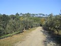 DSCN0277