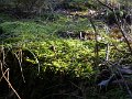 DSCN0283