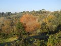 DSCN0297