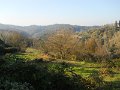 DSCN0298