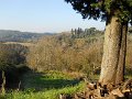 DSCN0300