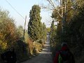 DSCN0333