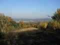 DSCN0334