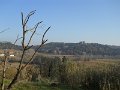 DSCN0346