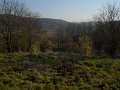 DSCN0350