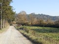 DSCN0354