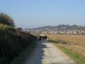 DSCN0355