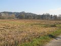 DSCN0356