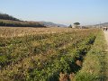 DSCN0357