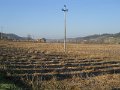 DSCN0360