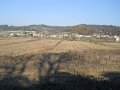 DSCN0361