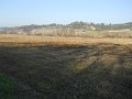 DSCN0364