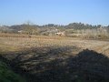 DSCN0367