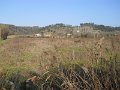 DSCN0370