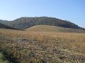 DSCN0372