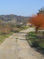DSCN0373