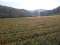 DSCN0375