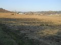 DSCN0378