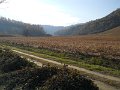DSCN0379
