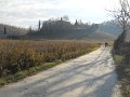 DSCN0380