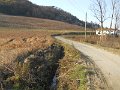 DSCN0382