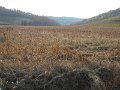 DSCN0383