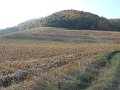 DSCN0384