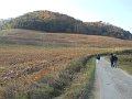 DSCN0385