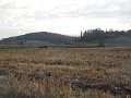 DSCN0386