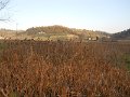 DSCN0387