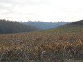 DSCN0388
