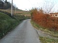 DSCN0389